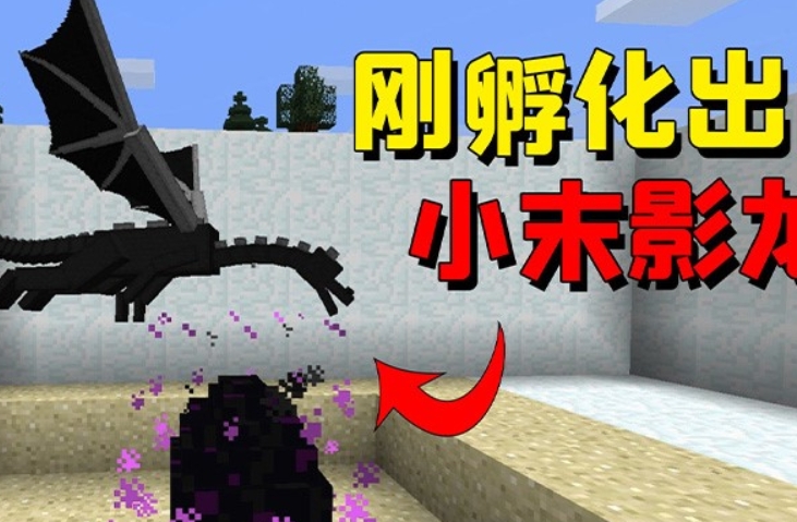 我的世界末影龙怎么驯服 我的世界上古末影龙驯服当坐骑攻略