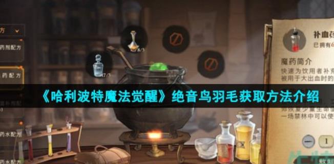 《哈利波特魔法觉醒》绝音鸟羽毛怎么得  绝音鸟羽毛使用途径