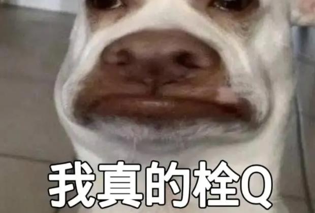 栓Q是什么意思 栓Q抖音最火爆梗意思介绍