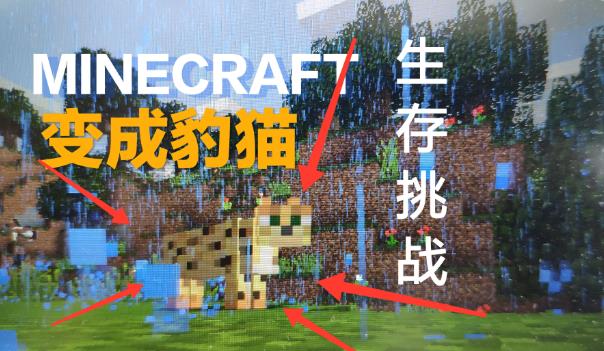 我的世界怎么驯服豹猫 我的世界minecraft豹猫驯服的方法