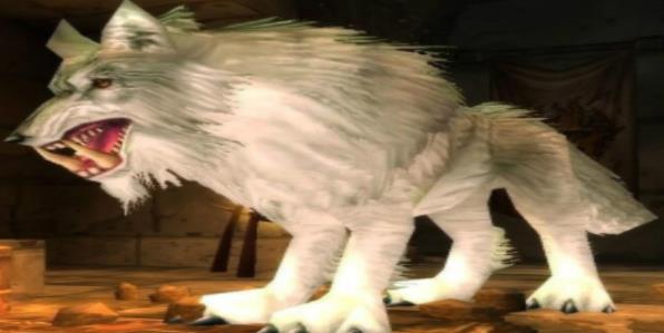 魔兽世界怀旧服座狼幼崽怎么获得 WOW座狼幼崽获得途径