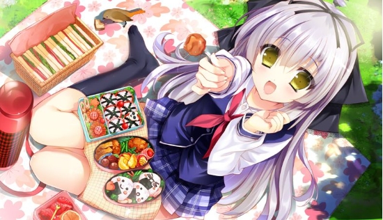 galgame是什么意思 galgame的游戏类型相关资料介绍