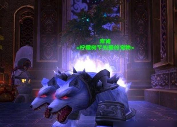 魔兽世界猎人稀有宠物数量有多少？魔兽世界猎人稀有宠物大全