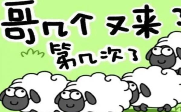羊了个羊一天能玩几次 羊了个羊游戏有次数限制吗