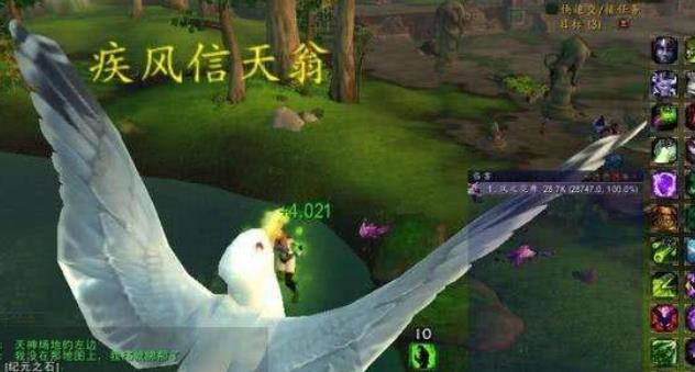 魔兽世界永恒岛疾风信天翁在哪里 wow信天翁打法攻略