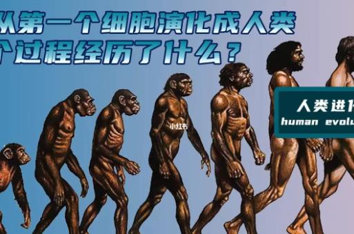 人类经历了几次大灭绝 几次人类灭亡是什么样子