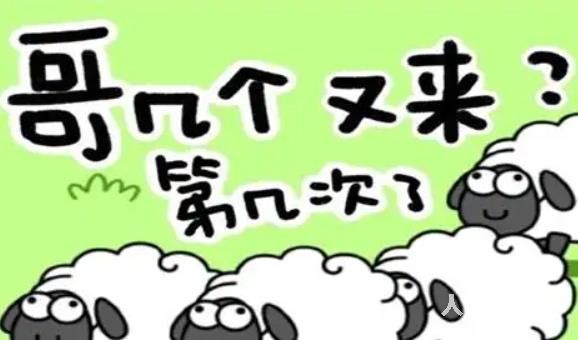 羊了个羊怎么卡bug 羊了个羊最新无限道具bug方法介绍