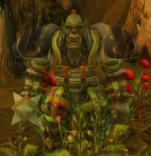 魔兽世界怀旧服部落英雄的灵魂在哪 wow部落英雄的灵魂位置坐标