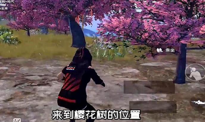 和平精英许愿树在哪刷新 和平精英许愿树位置大全