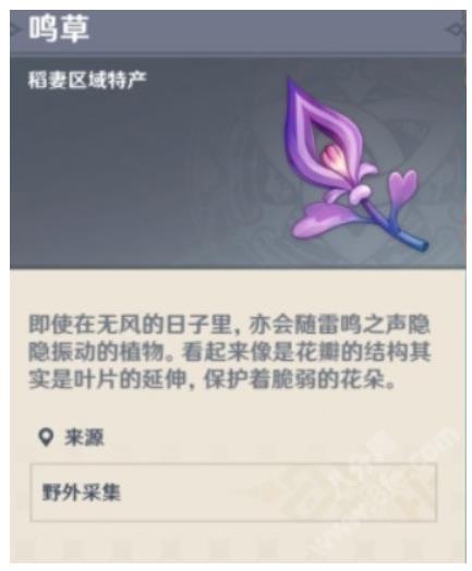 原神鸣草分布位置在哪里？原神鸣草采集路线及分布位置分享汇总