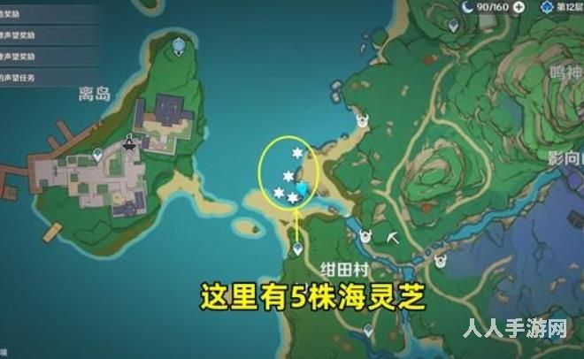 原神海灵芝在哪里采集 海灵芝采集点分布图介绍