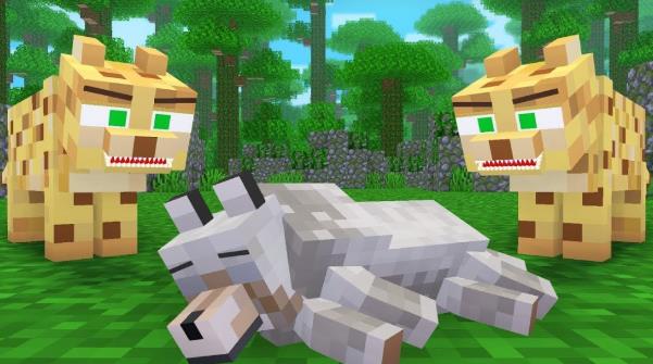 我的世界怎么驯服豹猫 我的世界minecraft豹猫驯服的方法