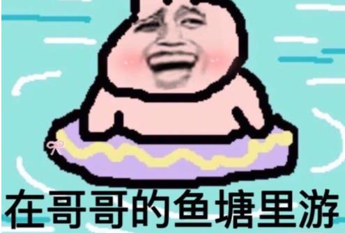 哥哥进鱼塘吗什么梗 哥哥进鱼塘吗含义出处