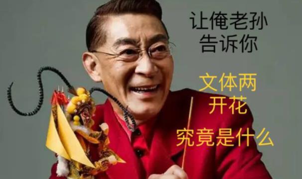 文体两开花是什么意思 文体两开花含义介绍