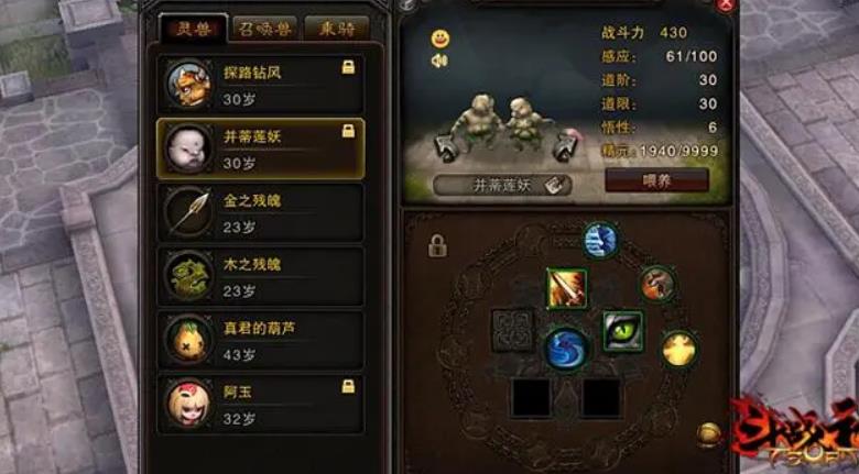 斗战神灵兽进化技盘点(最全面斗战神灵兽进化技一览)