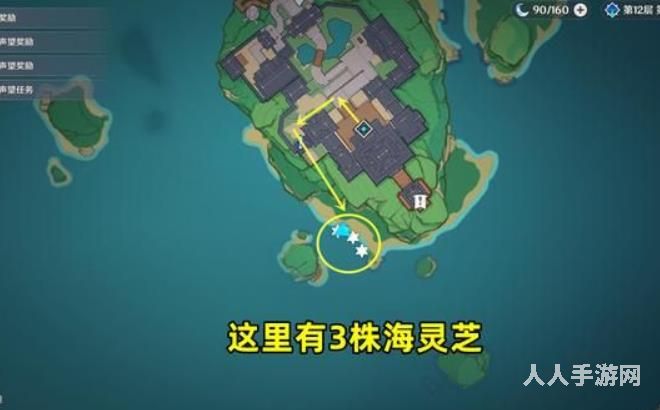 原神海灵芝在哪里采集 海灵芝采集点分布图介绍