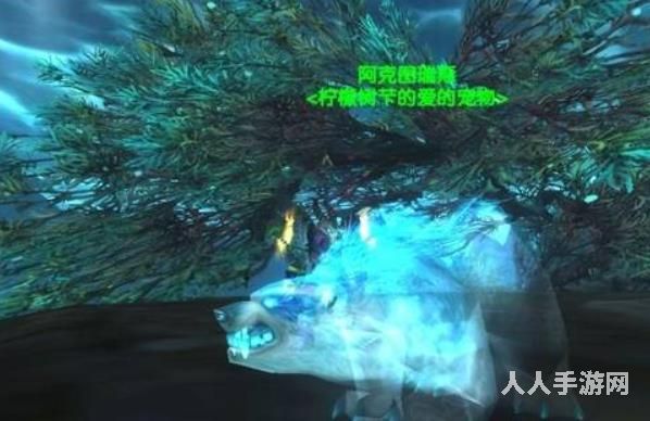 魔兽世界中猎人的稀有宠物有多少种 wow猎人稀有宝宝排行图鉴