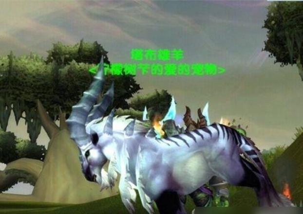 魔兽世界猎人稀有宠物数量有多少？魔兽世界猎人稀有宠物大全