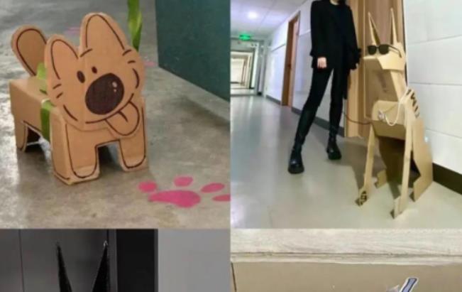纸箱小狗是什么梗 纸箱小狗的做法介绍