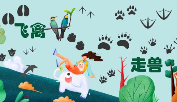 飞禽走兽新手怎么入门 飞禽走兽玩法攻略
