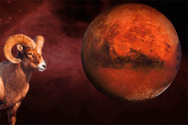 白羊女新鲜感过了的表现