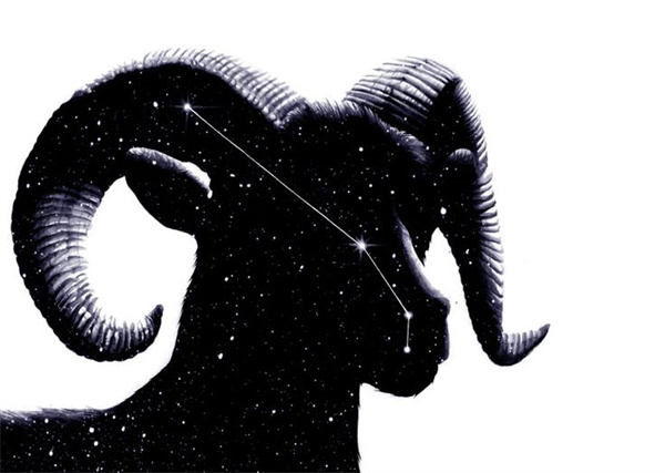 水瓶和白羊配不配(水瓶与白羊：揭秘最佳搭配)