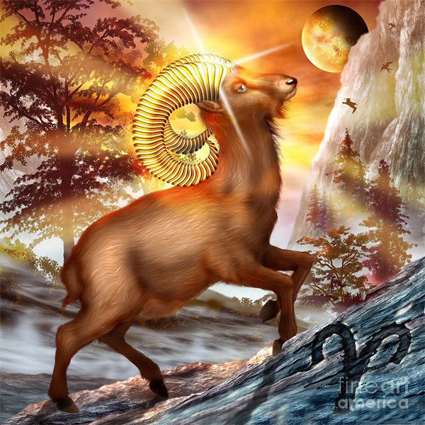 注定和白羊座恩爱到老的星座