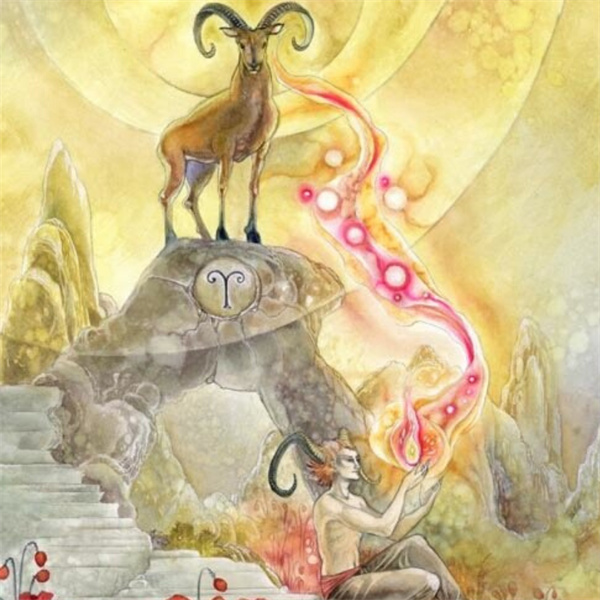 白羊男落泪(白羊男泪洒星空)