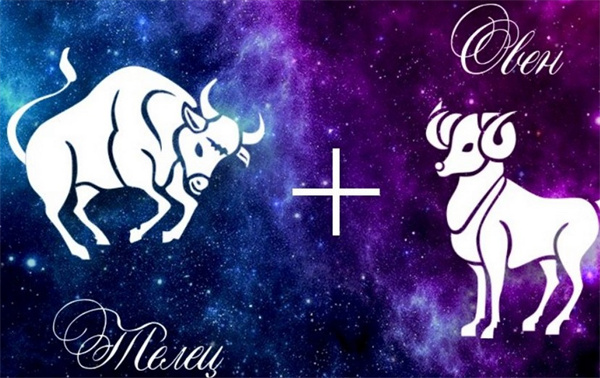 白羊很难爱上一个人(白羊座的爱情难题)