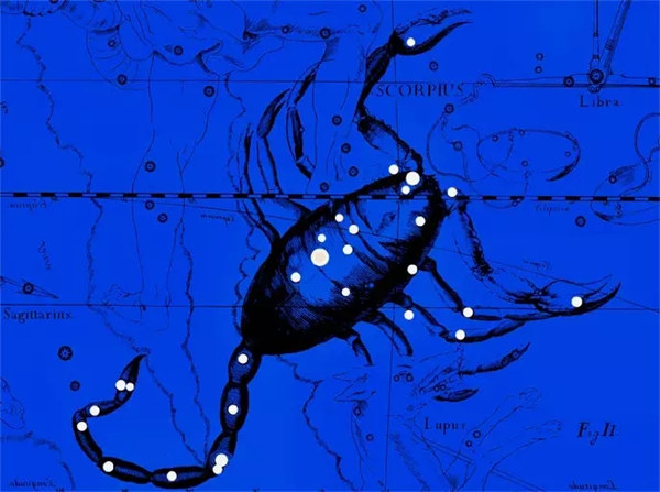 标准天蝎座眼型 天蝎座眼形特征