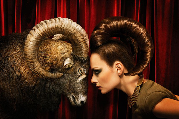 晾着不理白羊男会怎样(晾白羊男他们何去何从)