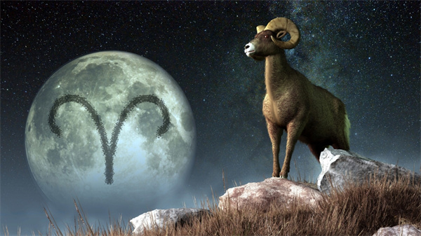 星座狮子白羊(白羊与狮子的星座特性)