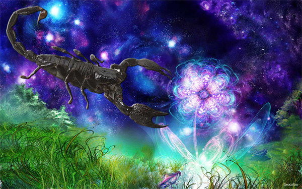 让天蝎男上瘾的星座 让天蝎男沉迷的星座就是...