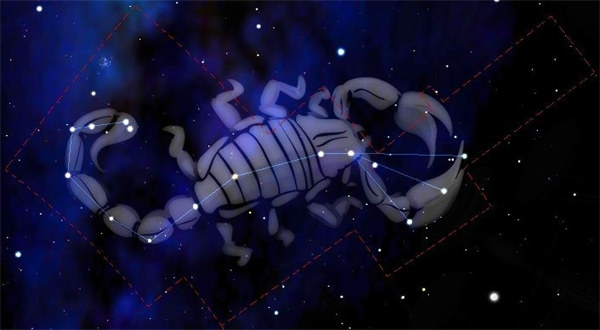 被天蝎男盯上的女人 天蝎男的追求目标