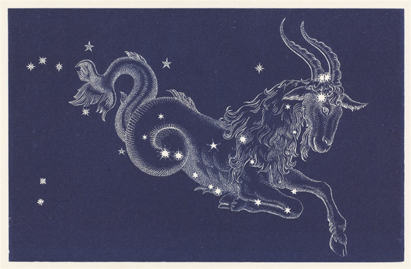 哪个星座最喜欢白羊座(哪星座最爱白羊座)