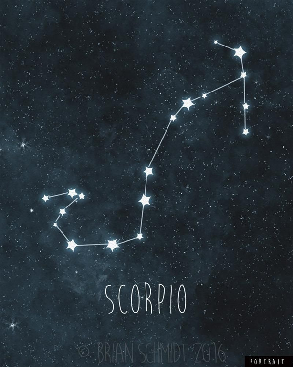 天蝎男星座 暗夜神秘的蝎子