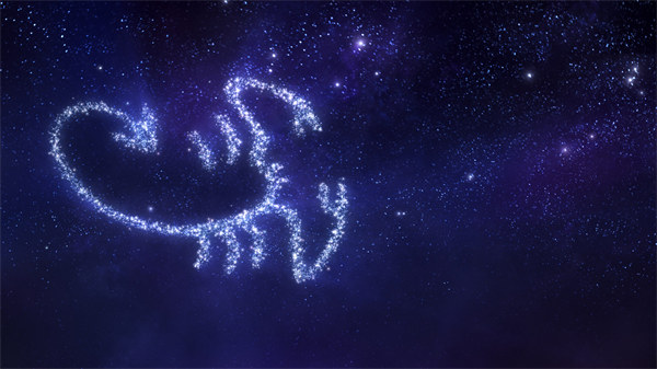 陶白白星座天蝎座 陶白白的星座是天蝎座