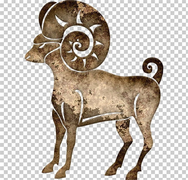 白羊男睡过射手女之后会怎样