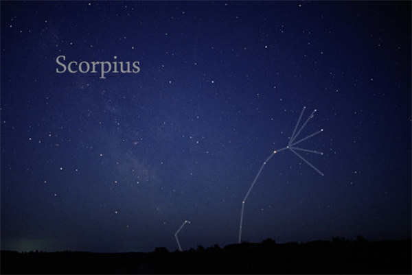 让天蝎神魂颠倒的星座 让你着迷的星座：天蝎