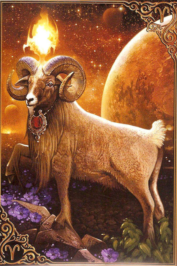 12星座里白羊座的长相排第几