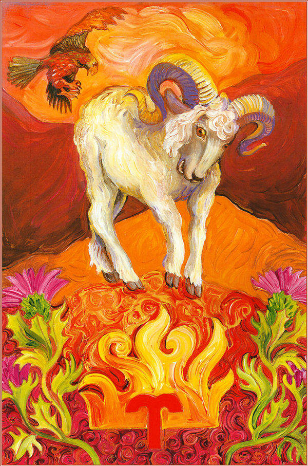 特别爱白羊女的星座男有哪些