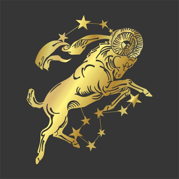 白羊座能当老师吗(白羊座适合做老师吗)
