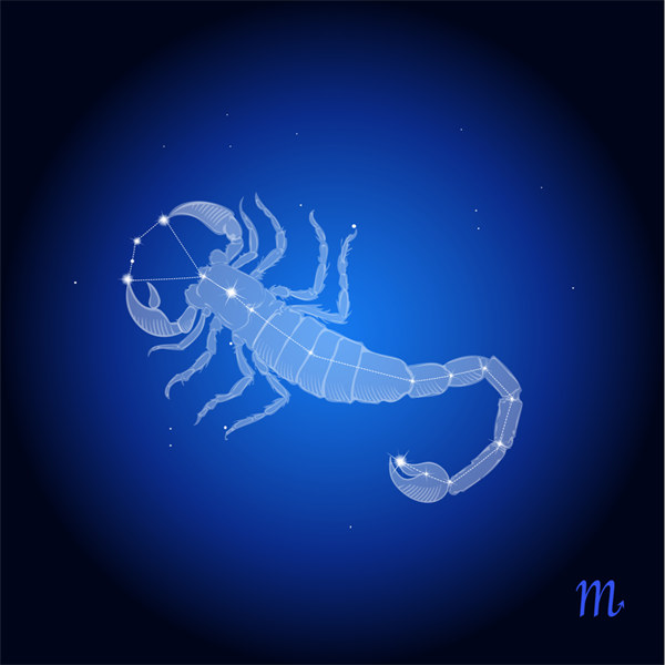 天蝎座专属头发视频 浓郁性感潮流硬派