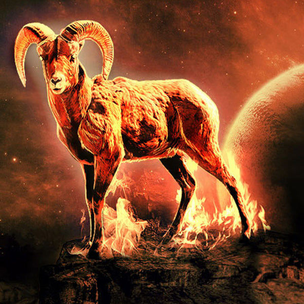 白羊女吸引哪些星座男(白羊女最能吸引哪些星座男