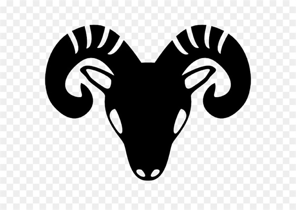 白羊男表白我该说什么(如何回应白羊男表白)