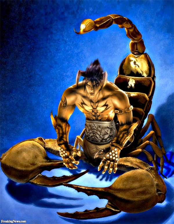 天蝎男努力工作 努力工作的天蝎男