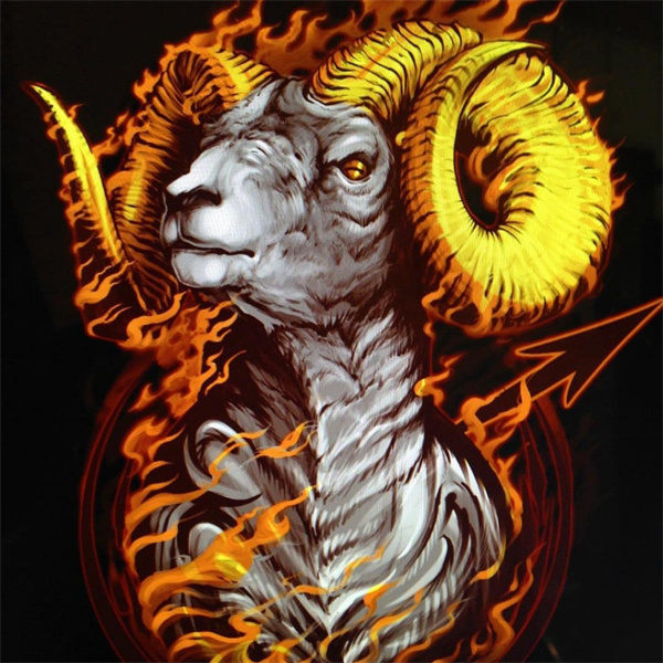 白羊男的最佳配对星座(白羊男最佳配对星座)