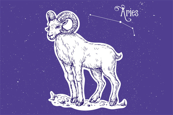 白羊女嫁得好(白羊女步入幸福殿堂)