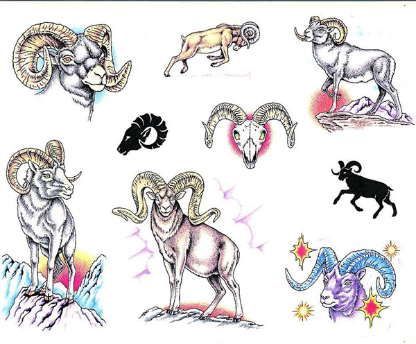 白羊男给人的第一印象(白羊男阳刚魅力十足)