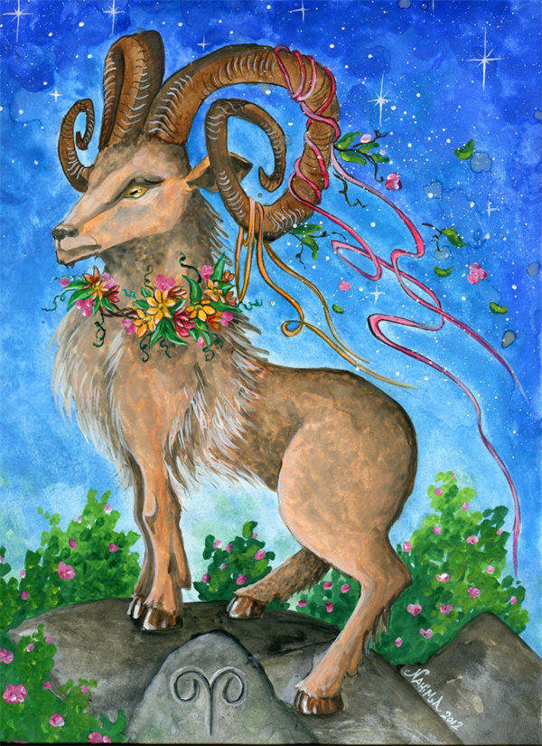 白羊男说话不客气(白羊男直言不讳)